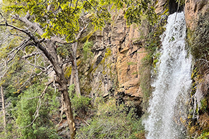 Cascada en el bosque andino de la Comarca Andina, Chubut
