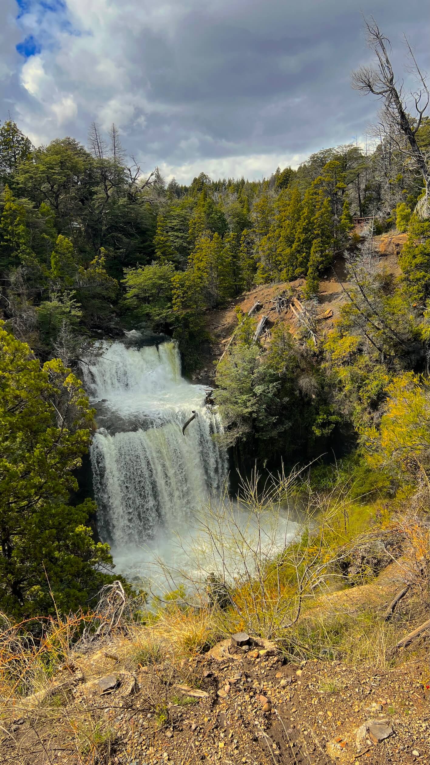 Salto de agua en el bosque andino de la Comarca Andina del Chubut