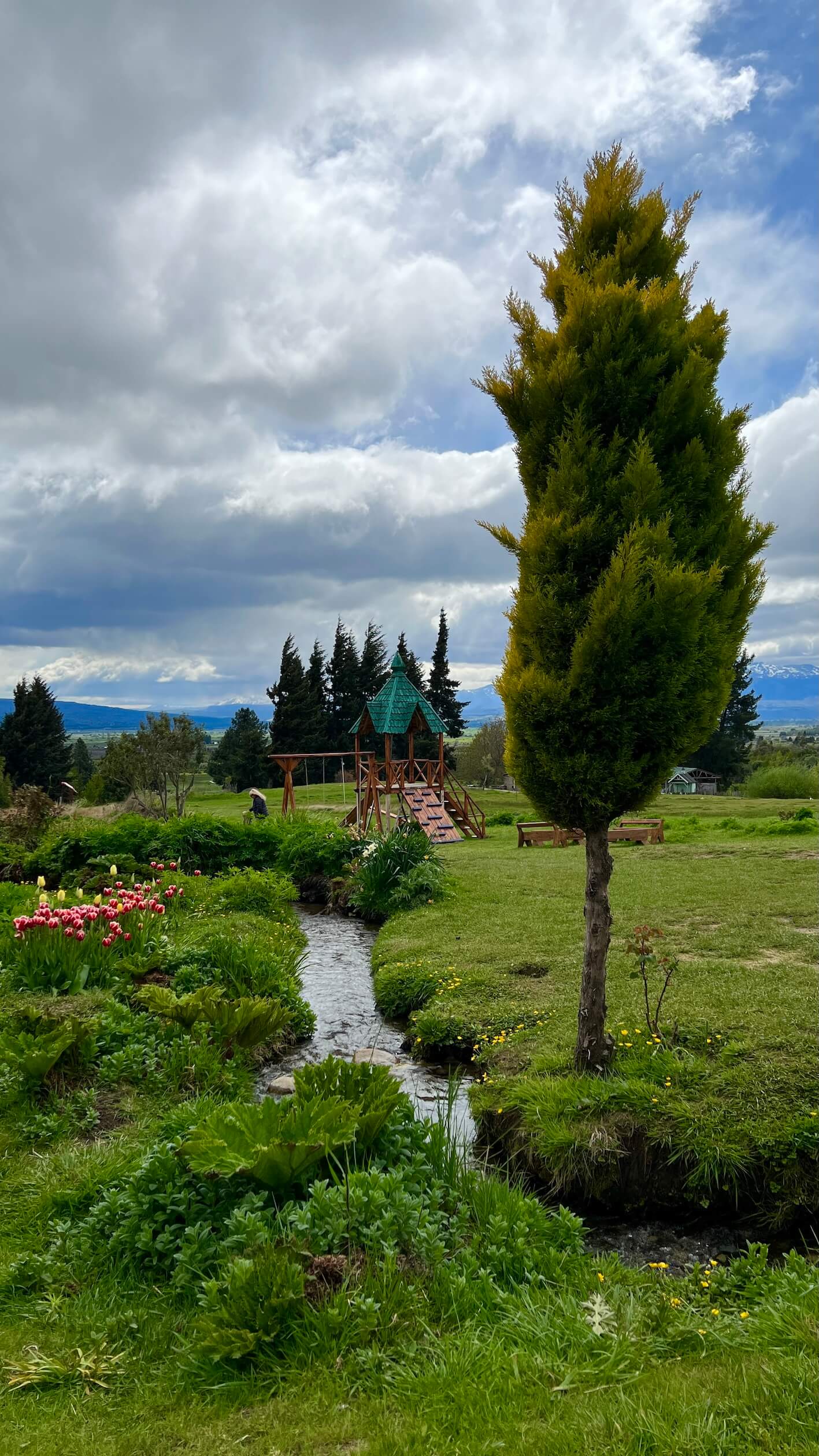 Otra vista de las cascadas Nant y Fall entre la vegetación en Trevelin